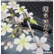 Miniature Japanese Samurai sword Katana with a key ring Munechika Crescent Moon