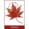 JAPANESE Maple TREE leaf NETSUKE CELL PHONE STRAP CHARM Momiji red